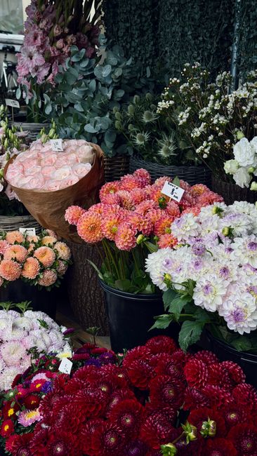 A vibrant display of fresh flowers arranged in various containers at a florist shop. The bouquet in the brown paper wrapping features soft pink roses, while nearby, a black pot holds bright pink and o