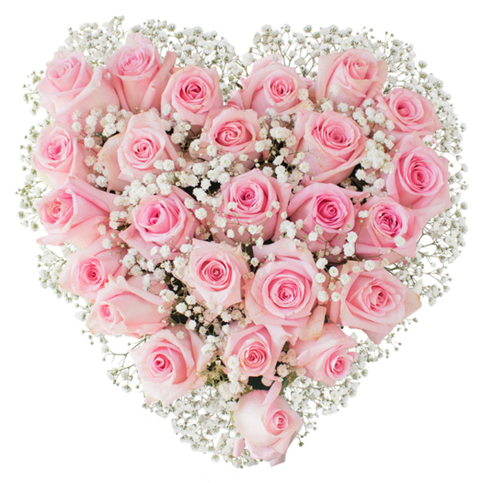 A lavish heart of pale pink roses, densely packed and punctuated with clouds of white Gypsophila, sits crisply against a clean white background, its silhouette perfectly defined and brimming with tenderness. Each rose carries a slightly different pastel note-from the palest, whispering blush at the petal tips to a warmer, deeper pink at the centre-some presenting as tight buds, others opening to reveal layered, spiralled interiors; together they create a soft, velvety plane that invites a fingertip to trace their curves. Sprigs of baby's breath are threaded through the mass, their tiny white florets offering delicate contrast and an airy texture that keeps the heart from feeling heavy. The lighting is bright and even, emphasising freshness and the subtle sheen of the petals while rendering the composition almost tactile: you can sense the smoothness of the rose skin and the feather-light scatter of gypsophila. This arrangement reads as a composed, conscientious expression of deep affection-perfect for occasions ranging from romantic celebrations to dignified commemorations-and suggests the quiet rituals of Shepperton life, from engagements near the riverside to anniversary walks along the towpath. The florist's disciplined eye is apparent in the symmetry, density, and thoughtful interplay of colour and negative space, a design made to be both visually striking in a photograph and emotionally resonant when delivered by hand to doorways around Shepperton and the neighbouring towns.