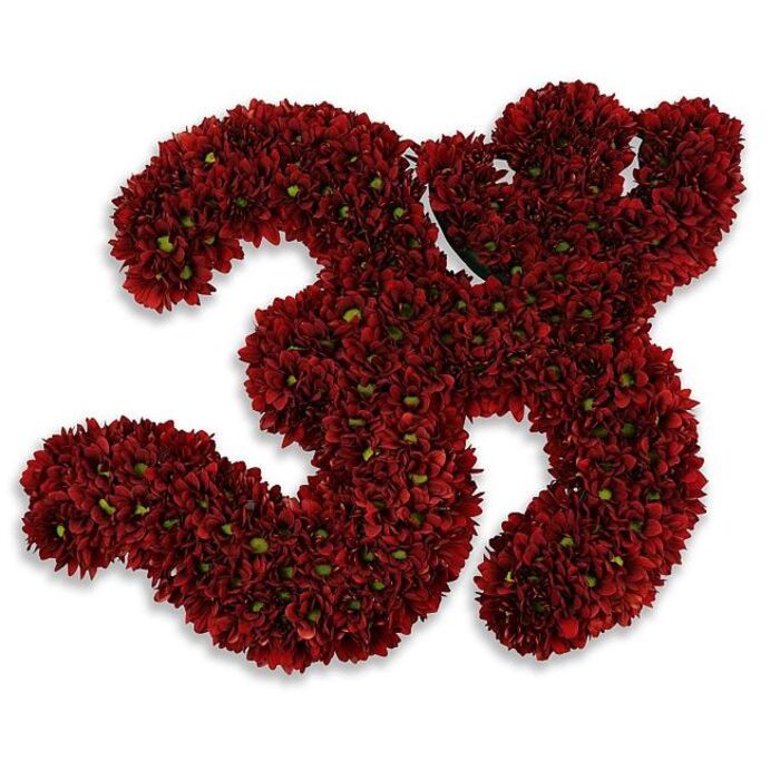 A striking, meticulously assembled numeric sculpture forms the number 33 from a plush mass of small, deep burgundy-red blooms, likely button chrysanthemums, their petals packed so close they read as a single, velvety surface. Scattered among the petals are tiny bright green centers and a few whispering bits of foliage, which give the composition an organic texture and a subtle punctuation of colour against the dominant crimson. Placed on a pure white backdrop, the two numerals claim attention through their rich, saturated tone and the soft, diffused gray shadow beneath them that creates the illusion of gentle elevation, as if the floral numbers are hovering in quiet celebration. The craftsmanship is evident in the density and uniformity - hundreds of individual flowers chosen for size and colour to keep the outline clean and the surface lush - a technique I often use when preparing anniversary pieces or memorial tributes for neighbours who know the High Street and riverside path in Shepperton well. The overall impression is one of refined significance: suited to marking a 33rd birthday, commemorating a milestone anniversary, honouring a team member's jersey number, or serving as a solemn floral marker at a tribute. Prepared with fresh, hand-selected blooms and an eye for balance, this arrangement can be delivered locally by Flowers Shepperton to homes and venues across Shepperton, Walton-on-Thames and the surrounding communities, offering an elegant, tactile expression of celebration or remembrance.