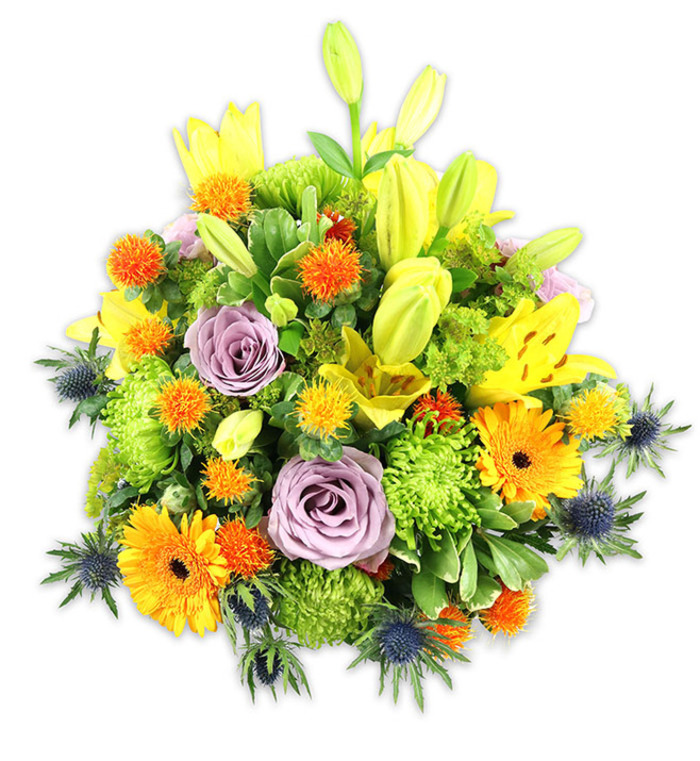 Presented against a pristine white background, this exuberant bouquet balances warmth, texture, and botanical character. Several vivid yellow Asiatic lilies rise above the mass, some blossoms opened wide to display freckled petals and delicate stamens, while others remain as tapered, chartreuse-tinged buds that lift the eye. Soft lavender-purple roses are placed thoughtfully within the centre, their rolled petals introducing a cool, romantic focal point. Bright orange Gerbera daisies scatter joyful bursts of color with their flat, radial petals and darker centres, while abundant lime-green button chrysanthemums give the arrangement a plush, almost mossy density. Tiny spherical orange and golden blooms-spiky and lively-are dotted across the surface, adding playful texture, and dramatic blue-grey sea thistles (Eryngium) project star-like bracts from the sides, offering a striking, slightly rustic contrast. The foliage is varied and intentionally layered: broad lily leaves form structural sweeps, smaller glossy greens fill gaps, and feathery sprigs soften transitions between tones. The lighting is gentle and natural, revealing petal translucence and the matte-to-gloss contrast across different bloom types, creating an inviting, tactile quality. Emotionally versatile, this arrangement suits celebratory tables, bedside cheer, or a thoughtful memorial display, and its palette evokes the warmth of late spring afternoons in Shepperton - imagine it brightening a mantel after a walk past the riverbank or as a welcoming gift picked up from the High Street florist for a neighbour or friend.