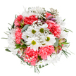 Captured overhead, this Shepperton bouquet sings with the optimism of spring in bloom. White daisies with vivid chartreuse centres anchor the arrangement, surrounded by lush, ruffled carnations in a rich coral hue-their lively presence reminiscent of local garden beds bursting into colour after a gentle rain. Cloud-like gypsophila is woven throughout, scattering tiny white stars across the ensemble and providing softness against the powerfully coloured blooms. Among the foliage, hidden buds of alstroemeria-blushed with soft pink and hints of purple-peek through, offering the promise of more blossoms to come. Eucalyptus and a variety of green leaves create a gentle, calming frame, their subtle matte finish balancing the bouquet's luminous tones and evoking the tranquillity of Shepperton Moorings. The entire design is intentionally circular and full, as if radiating positive energy outward, ideal for celebrating life's happy milestones-birthdays, anniversaries, or a simple thank you sent to a friend across Shepperton. Displayed against an uncluttered white background, every colour and detail is amplified, highlighting the dedication and skill of local florists. Beyond its visual beauty, the bouquet brings a sense of renewal and serenity into the home-an authentic touch of Shepperton's floral tradition available for fresh delivery throughout the community.